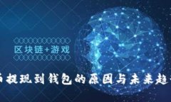 虚拟币提现到钱包的原因与未来趋势解析