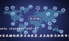 meta charset=＂utf-8＂北京区块链技术全面发展：未