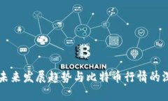 区块链未来发展趋势与比特币行情的深入分析