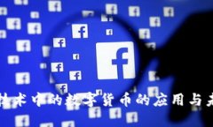 区块链技术中的数字货币的应用与未来趋势