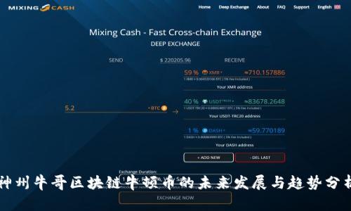 神州牛哥区块链牛顿币的未来发展与趋势分析