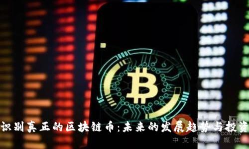 如何识别真正的区块链币：未来的发展趋势与投资机遇