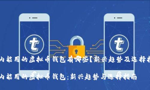 国内能用的虚拟币钱包有哪些？新兴趋势及选择指南

国内能用的虚拟币钱包：新兴趋势与选择指南