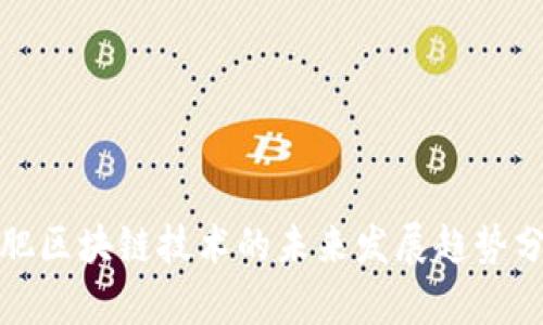 合肥区块链技术的未来发展趋势分析
