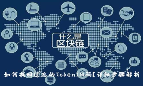 如何找回遗忘的TokenIM码？详细步骤解析