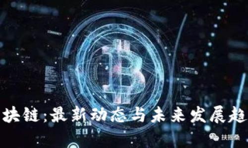 BTM区块链：最新动态与未来发展趋势分析