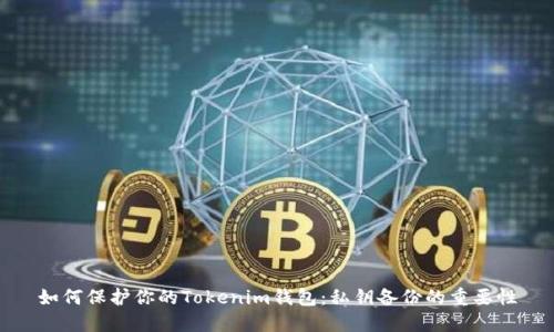如何保护你的Tokenim钱包：私钥备份的重要性