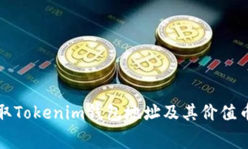 如何免费获取Tokenim钱包地址及其价值币的详细指南