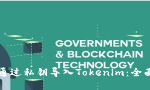 如何通过私钥导入Tokenim：全面指南