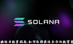 区块链币投资指南：如何选择最适合你的数字货