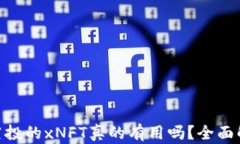 Tokenim钱包空投的xNFT真的有用吗？全面解析与前景