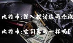 区块链与比特币：深入探讨这两个概念的关系区