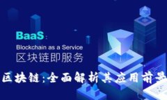 派币与数字区块链：全面解析其应用前景与发展