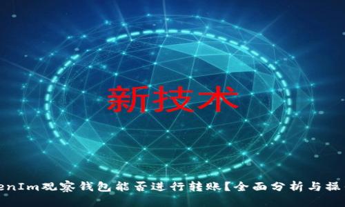: TokenIm观察钱包能否进行转账？全面分析与操作指南