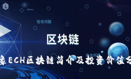 泰象ECH区块链简介及投资价值分析