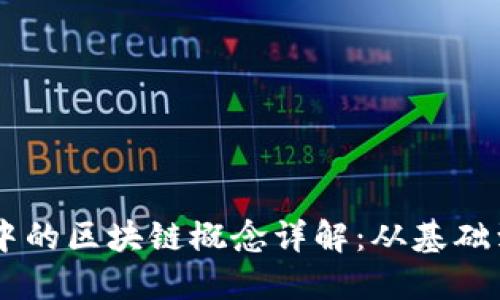 币圈中的区块链概念详解：从基础到应用