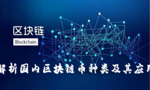 深入解析国内区块链币种类及其应用前景