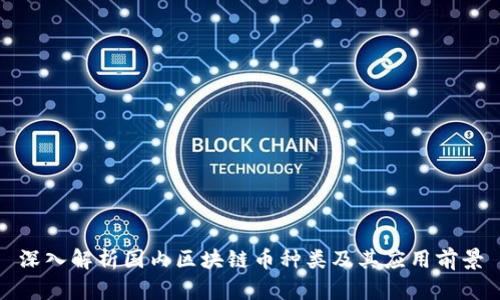 深入解析国内区块链币种类及其应用前景