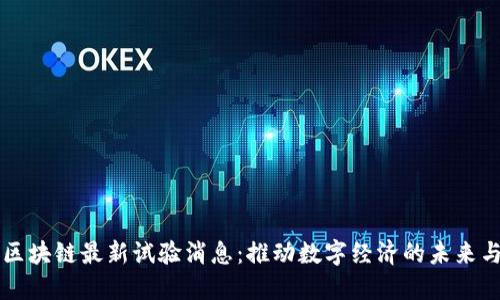 韩国区块链最新试验消息：推动数字经济的未来与挑战
