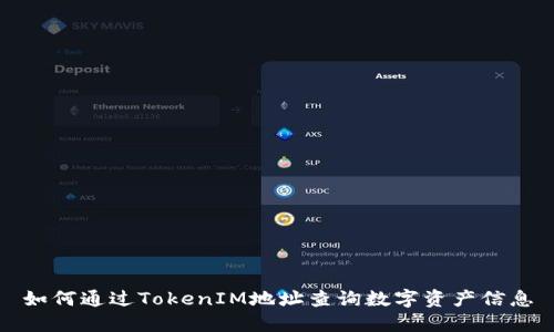 如何通过TokenIM地址查询数字资产信息