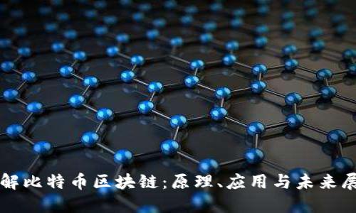 详解比特币区块链：原理、应用与未来展望