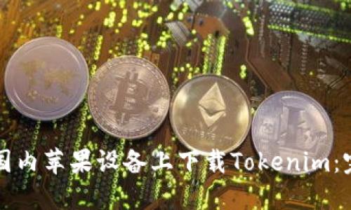 如何在国内苹果设备上下载Tokenim：完整指南
