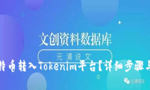如何将莱特币转入Tokenim平台？详细步骤与注意事项