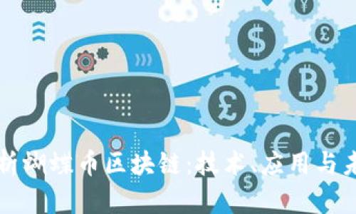 全面解析蝴蝶币区块链：技术、应用与未来展望