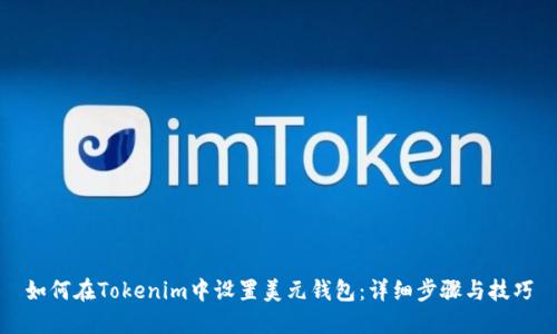 如何在Tokenim中设置美元钱包：详细步骤与技巧