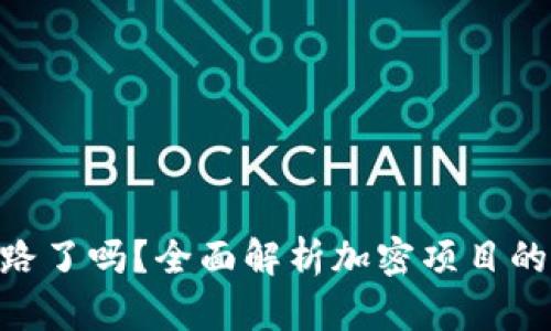 Tokenim跑路了吗？全面解析加密项目的风险与未来