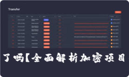 Tokenim跑路了吗？全面解析加密项目的风险与未来