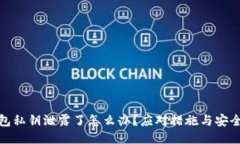 : 钱包私钥泄露了怎么办？应对措施与安全指南