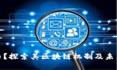 什么是Pi币？探索其区块链机制及未来发展潜力