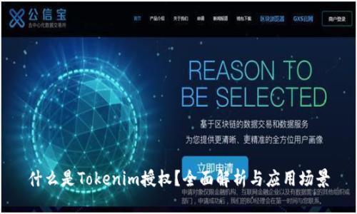 什么是Tokenim授权？全面解析与应用场景