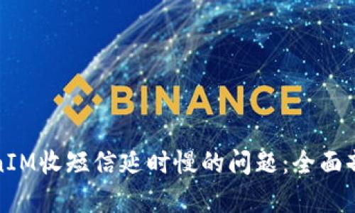 如何解决TokenIM收短信延时慢的问题：全面剖析与解决方案