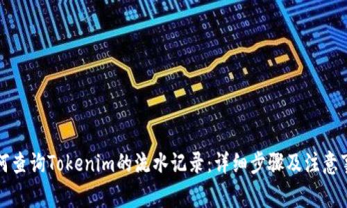 如何查询Tokenim的流水记录：详细步骤及注意事项