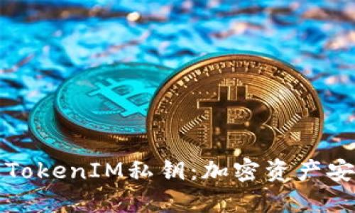深入了解TokenIM私钥：加密资产安全的核心