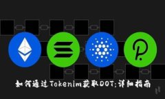 如何通过Tokenim获取DOT：详细指南
