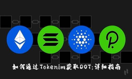 如何通过Tokenim获取DOT：详细指南