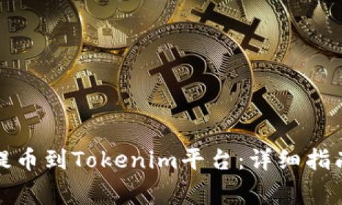 如何将屎币提币到Tokenim平台：详细指南与注意事项