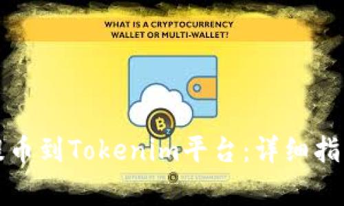 如何将屎币提币到Tokenim平台：详细指南与注意事项