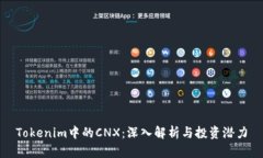 Tokenim中的CNX：深入解析与投资潜力