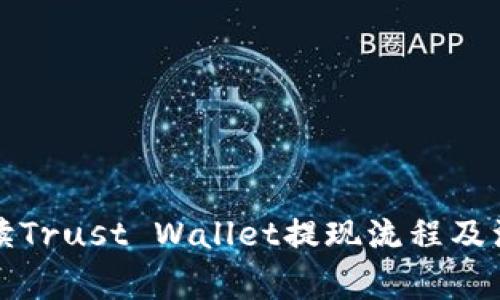 全面解读Trust Wallet提现流程及注意事项