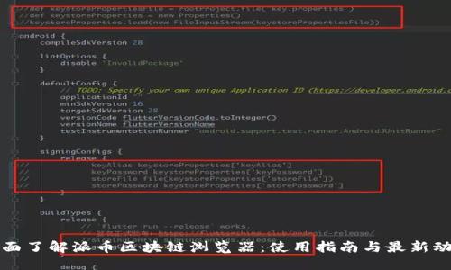 全面了解派币区块链浏览器：使用指南与最新动态