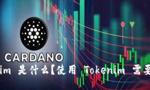 : Tokenim 是什么？使用 Tokenim 需要联网吗？