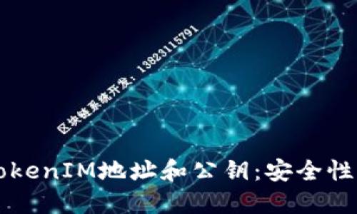 深入了解TokenIM地址和公钥：安全性与实用指南