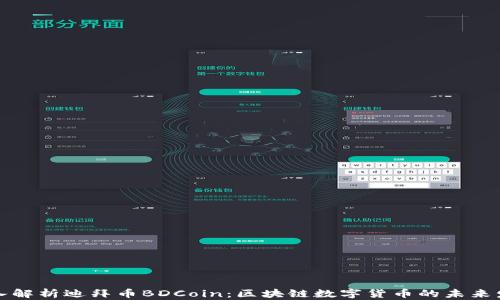 
深入解析迪拜币BDCoin：区块链数字货币的未来发展