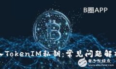 如何正确导入TokenIM私钥：常见问题解析及解决方