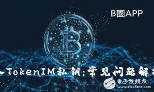 如何正确导入TokenIM私钥：常见问题解析及解决方案