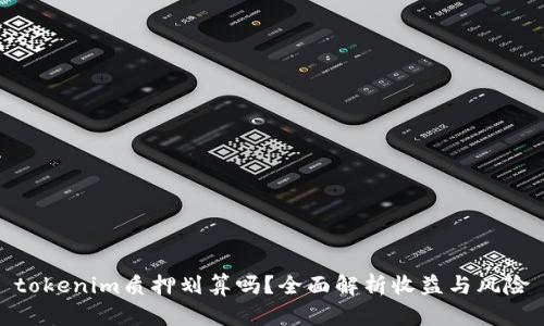 tokenim质押划算吗？全面解析收益与风险